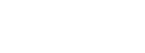 avevita internet service